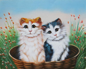 Cat Hand Painted Oil Painting / Canvas Wall Art UK HD07364