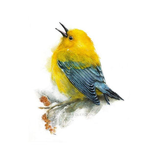 Bird Hand Painted Oil Painting / Canvas Wall Art UK HD08182