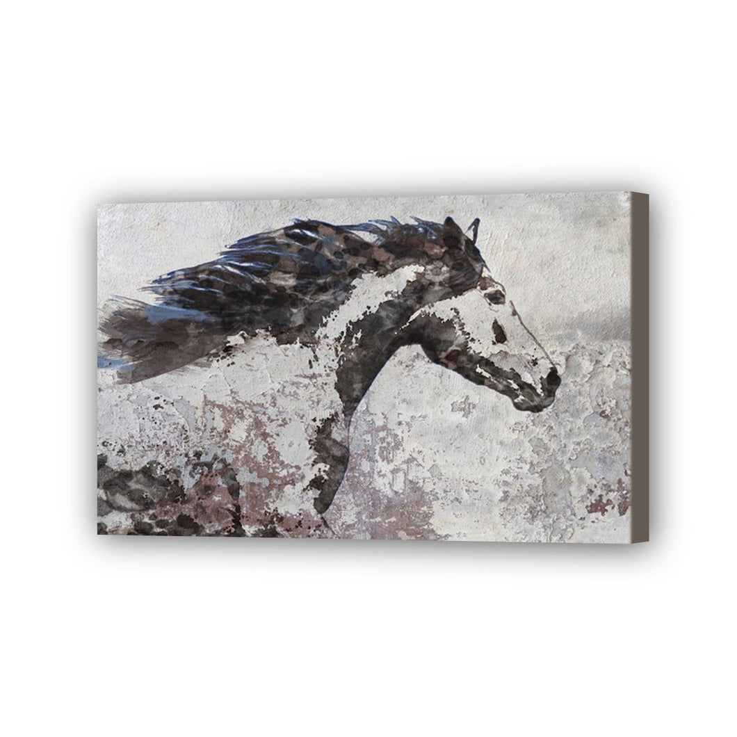 Horse Hand Painted Oil Painting / Canvas Wall Art UK HD08388