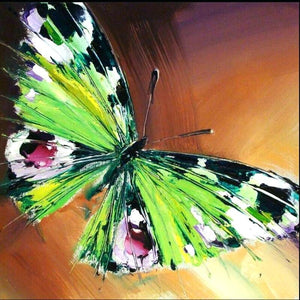 Butterfly Hand Painted Oil Painting / Canvas Wall Art UK HD08529